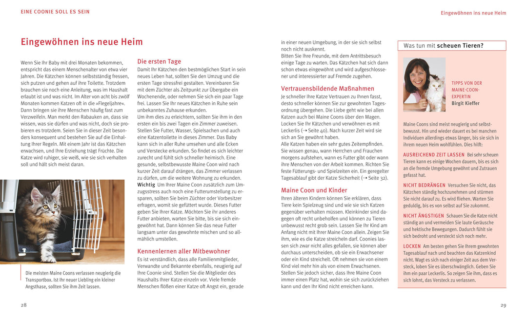 Maine Coon | Kieffer, Birgit