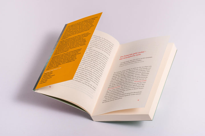 Verstehen statt verlieren | Lutz, Leonie | Brede, Mareike