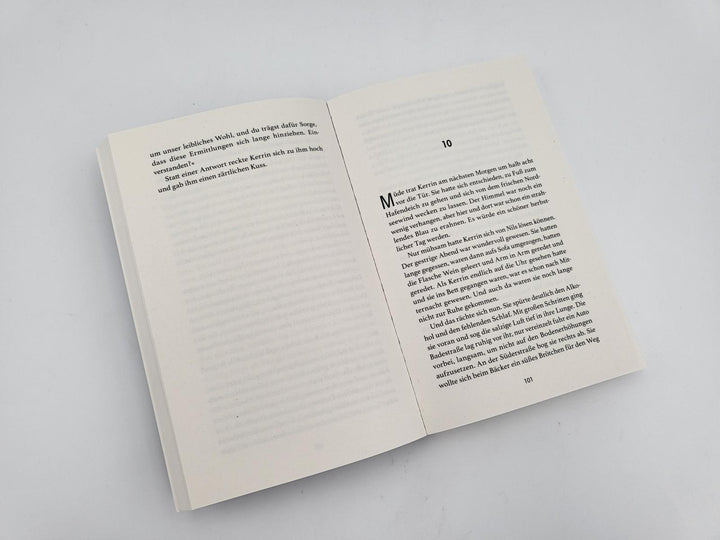 Seenebel | Rogge, Stefanie