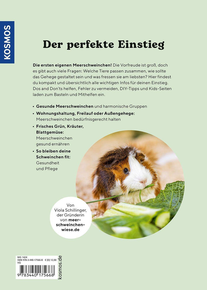 Meerschweinchen | Schillinger, Viola