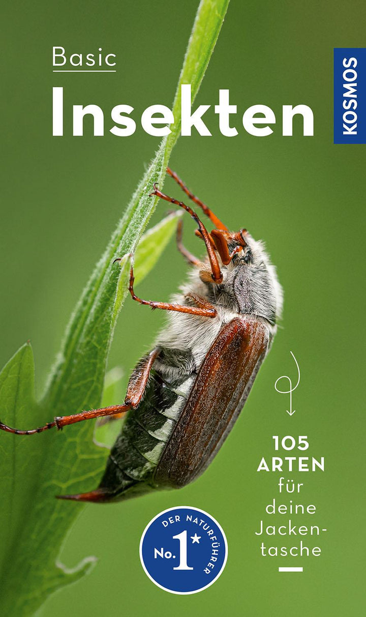 BASIC Insekten | Gerstmeier, Roland