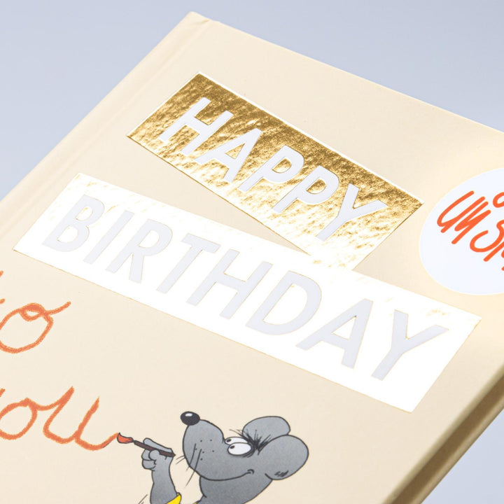 Uli Stein: Festtage!: Happy Birthday | Stein, Uli