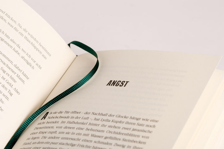 Der Flussregenpfeifer | Friedrich, Tobias