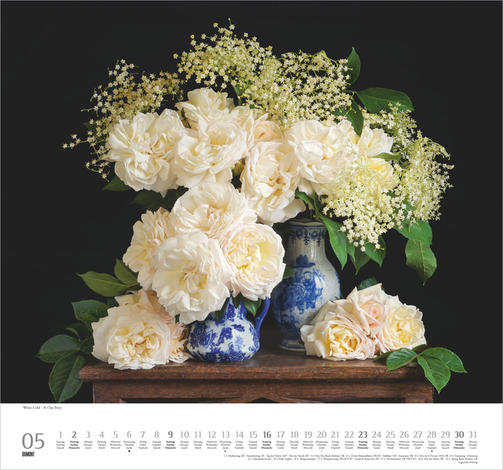 Geliebte Rosen 2027 | -