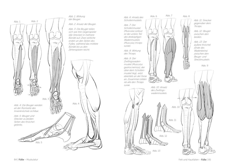 Morpho Detail. Hände und Füße | Lauricella, Michel