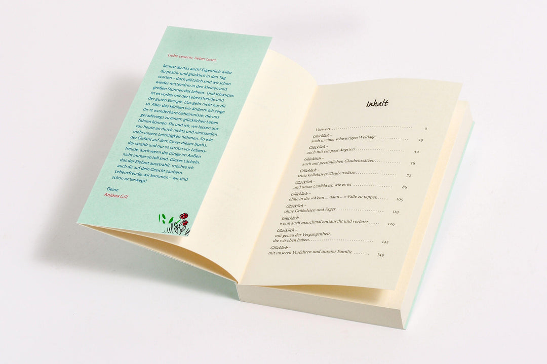 Die 12 Geheimnisse der Lebensfreude | Gill, Anjana