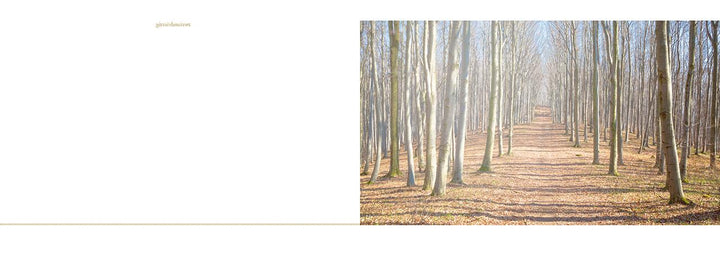 Escape Christmas | Kinskofer, Lotte | Anzenberger, Toni