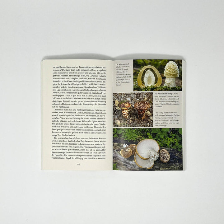 Mittendrin im Draußen | Glatzer, Norman | Braun, Vanessa