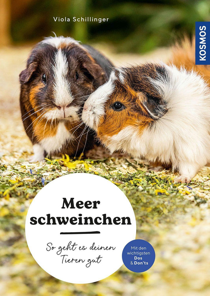Meerschweinchen | Schillinger, Viola