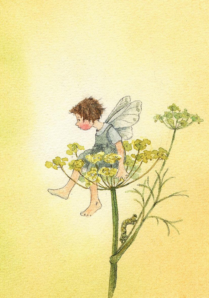 Postkartenbuch "Elfenträume" | Drescher, Daniela