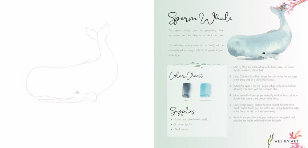 Das große Aquarell-Praxisbuch | Fox, Dana