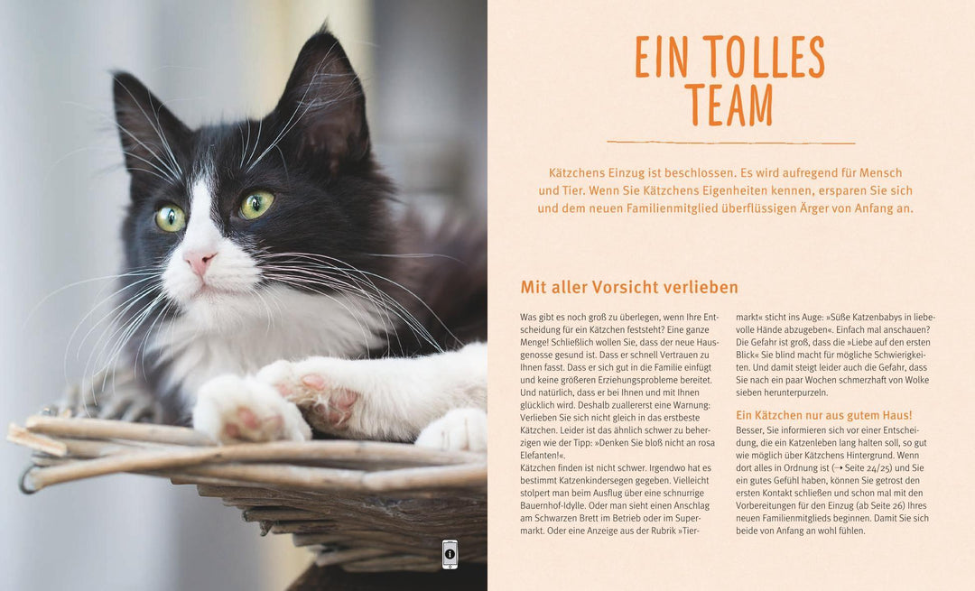 Unser Kätzchen | Eilert-Overbeck, Brigitte