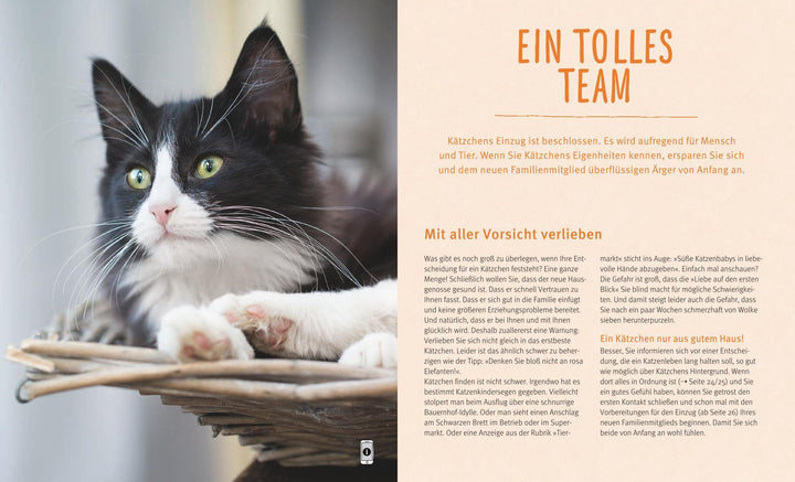 Unser Kätzchen | Eilert-Overbeck, Brigitte