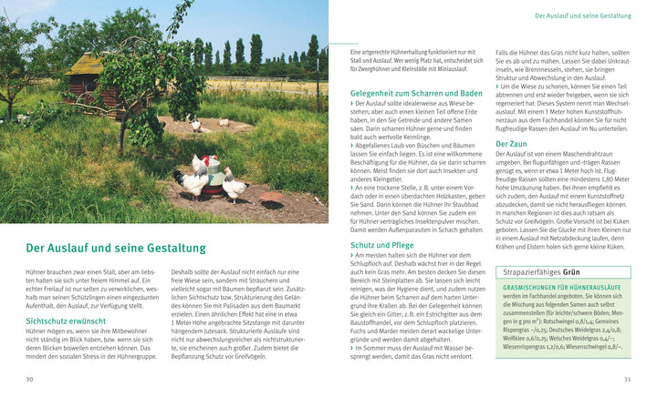 Hühner halten | Lüttwitz, Michael von