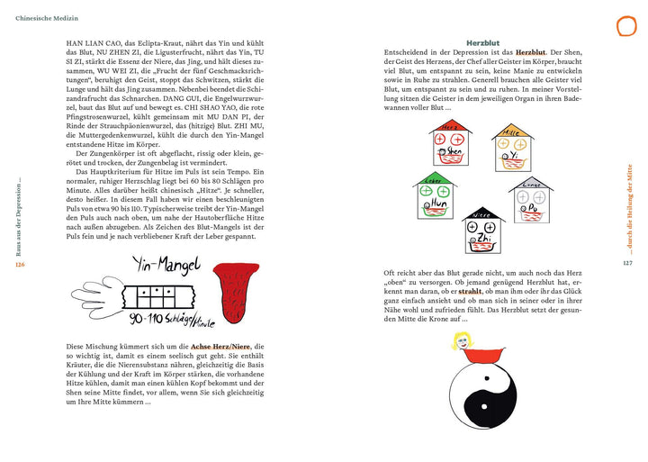 Raus aus der Depression durch die Heilung der Mitte | Weidinger, Georg
