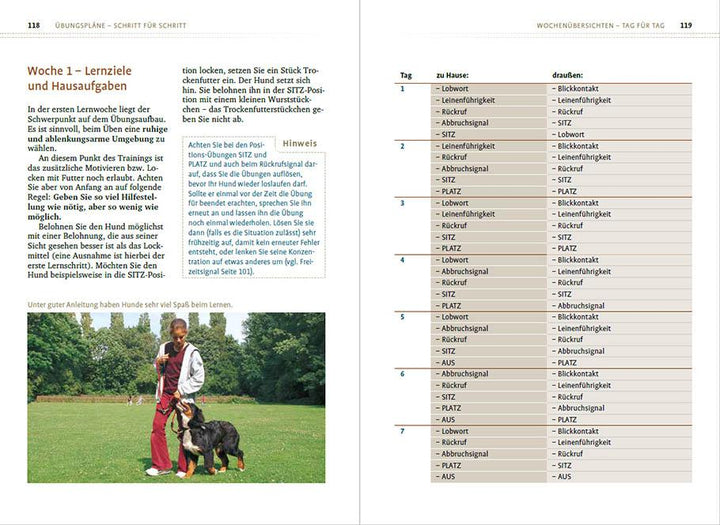 Sachkundenachweis für Hundehalter | Del Amo, Celina