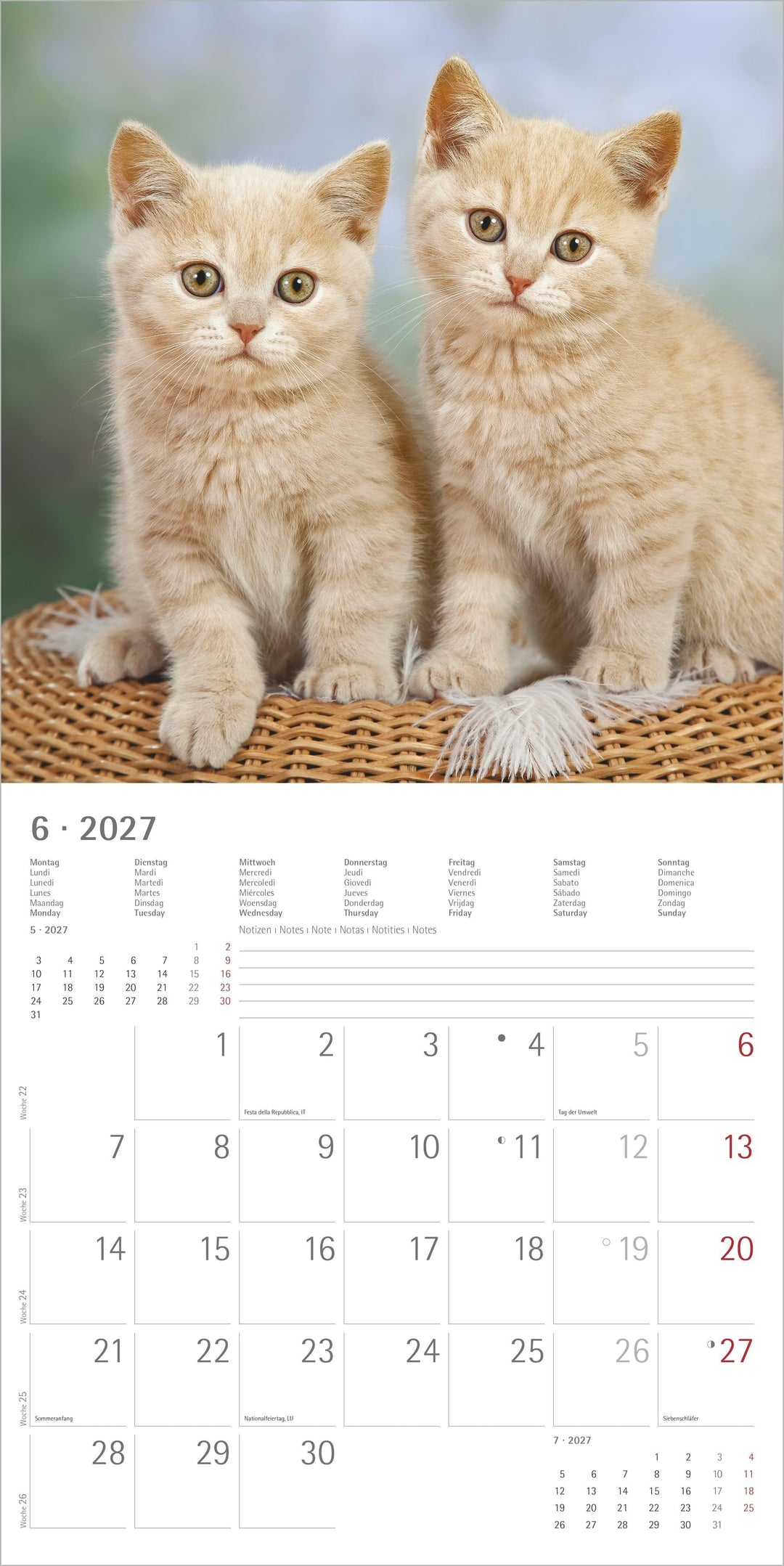 Katzen 2027 | -
