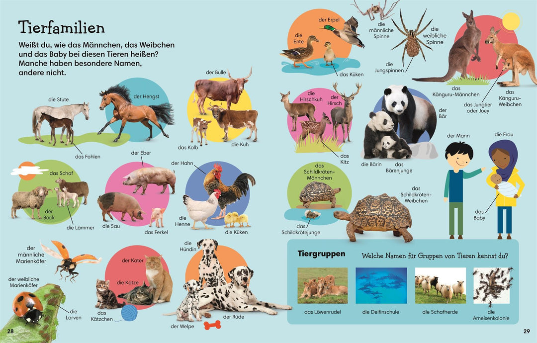 1000 erste Wörter. Natur | -