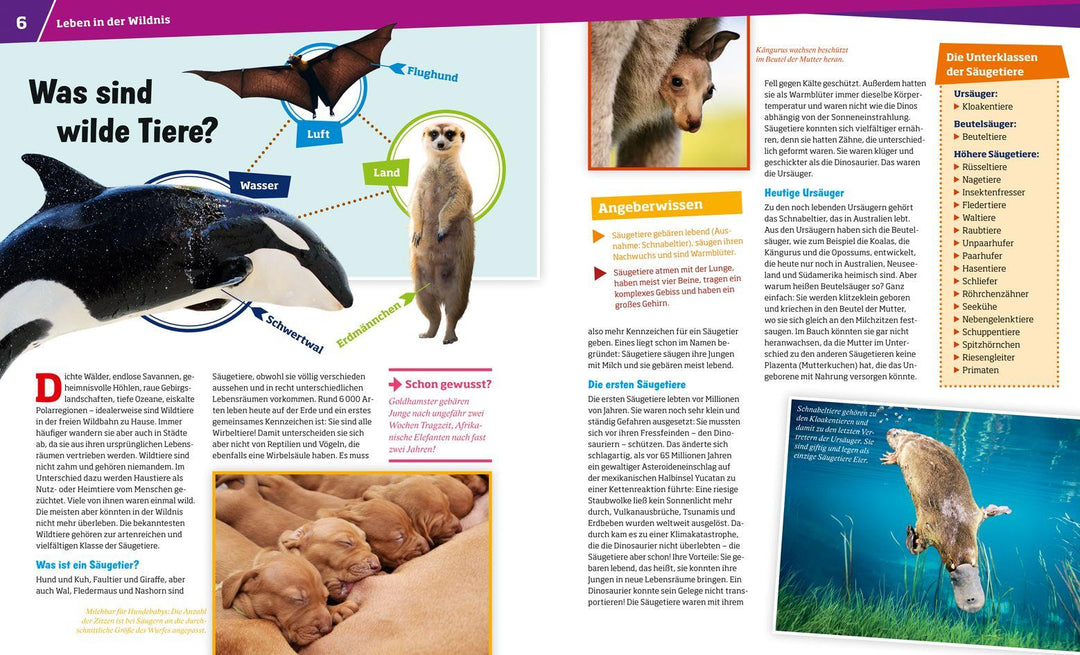 WAS IST WAS Band 13 Wilde Tiere. Ungezähmt in der Wildnis | Paxmann, Christine