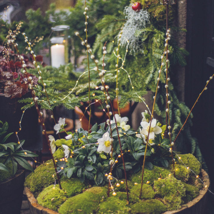 Weihnachten in Hageby | Dam, Victoria