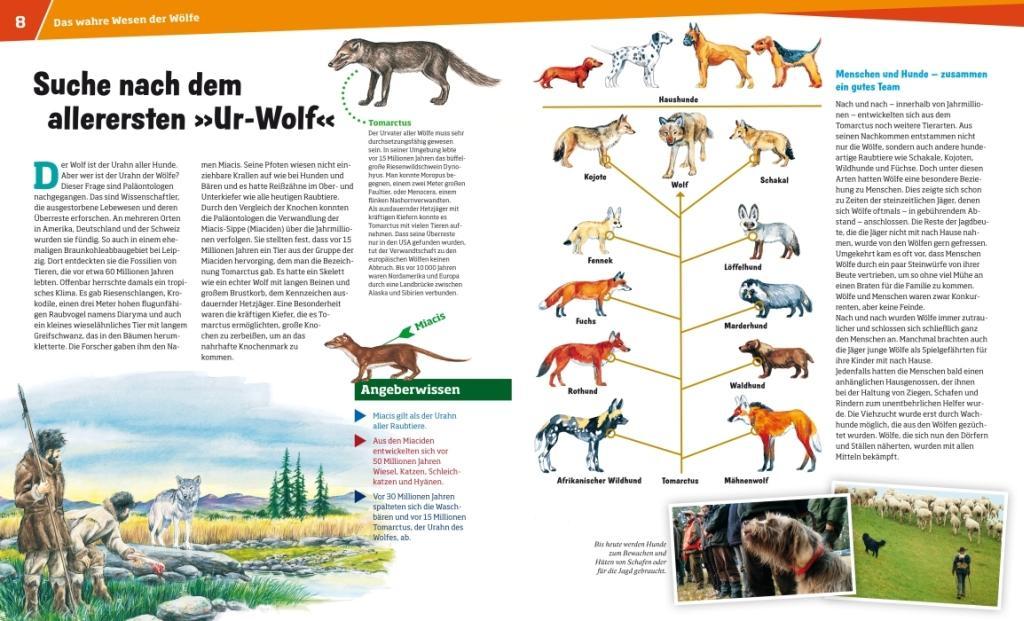 WAS IST WAS Band 104 Wölfe. Im Revier der grauen Jäger | Meyer, Till