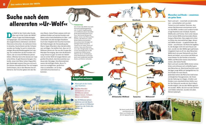 WAS IST WAS Band 104 Wölfe. Im Revier der grauen Jäger | Meyer, Till