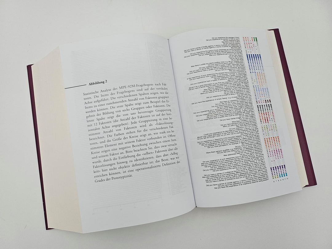 Der Elefant und die Blinden | Metzinger, Thomas