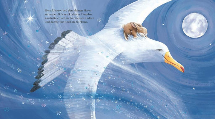 Der ganze Wald freut sich auf Weihnachten | -