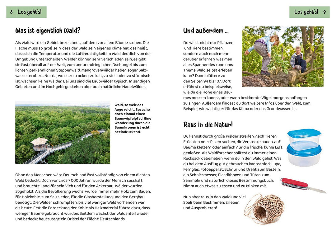 Was lebt im Wald? Kindernaturführer | Haag, Holger