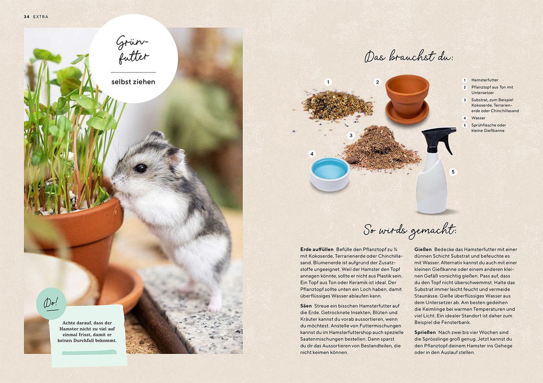 Hamster | Rößner, Saskia