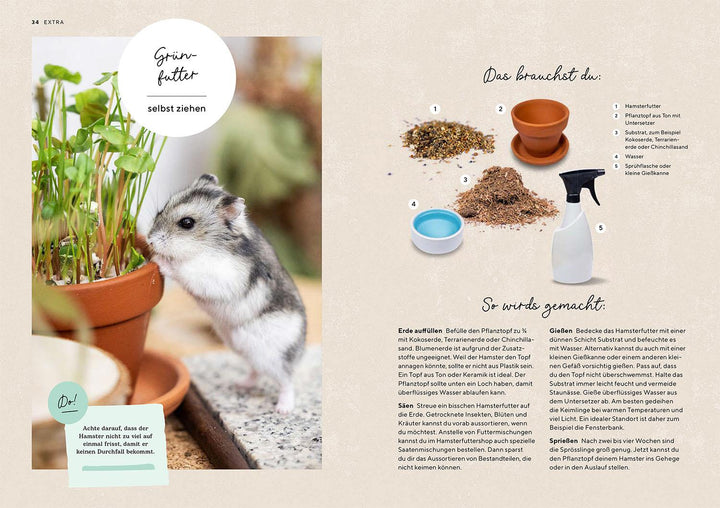 Hamster | Rößner, Saskia