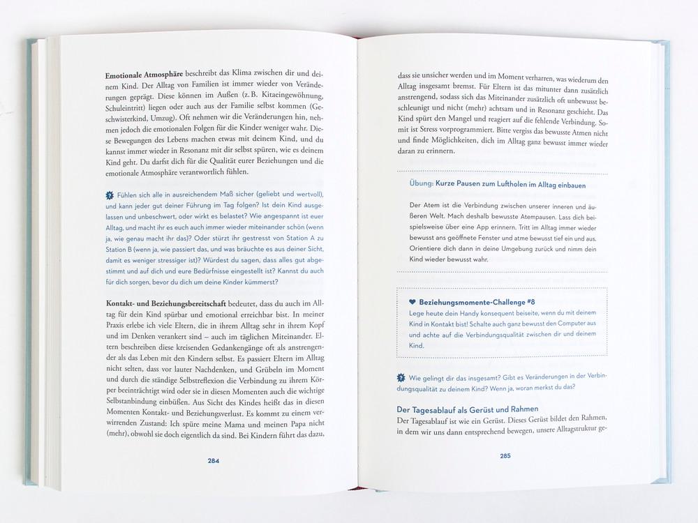 Die Reise zur glücklichen Eltern-Kind-Beziehung | Saalfrank, Katharina