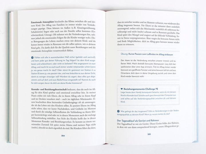 Die Reise zur glücklichen Eltern-Kind-Beziehung | Saalfrank, Katharina