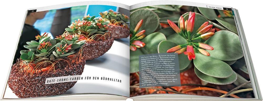 Sukkulenten mit Style | Wagener, Klaus | Team BLOOM's