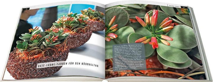 Sukkulenten mit Style | Wagener, Klaus | Team BLOOM's