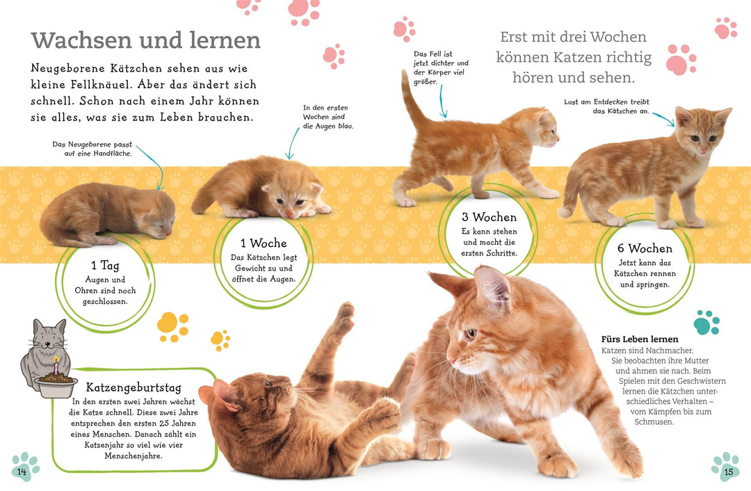 Alles über deine Katze | -