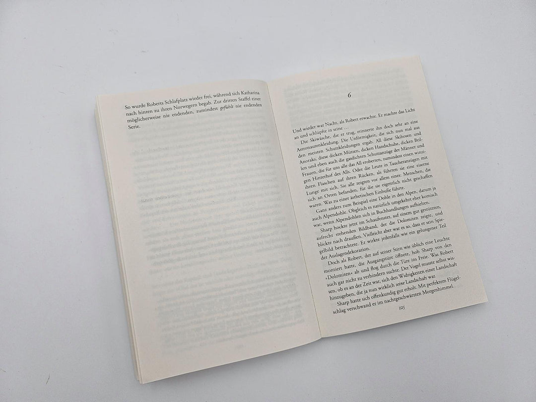 Der betrunkene Berg | Steinfest, Heinrich