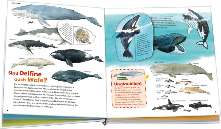 WAS IST WAS Junior 26. Wale und Delfine | Oftring, Bärbel