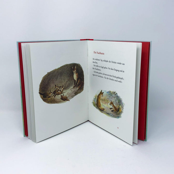 Der Findefuchs | Korschunow, Irina