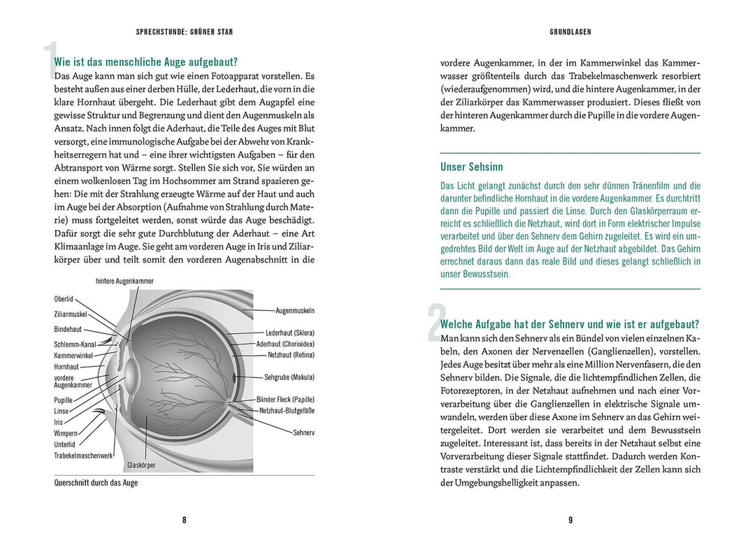 In der Sprechstunde: Grüner Star; Erkennen - verstehen - behandeln | Grohman...