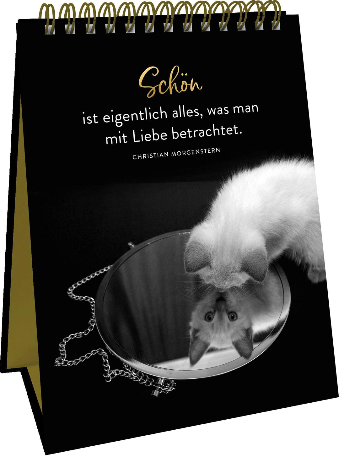 Goldene Katzenweisheiten | -
