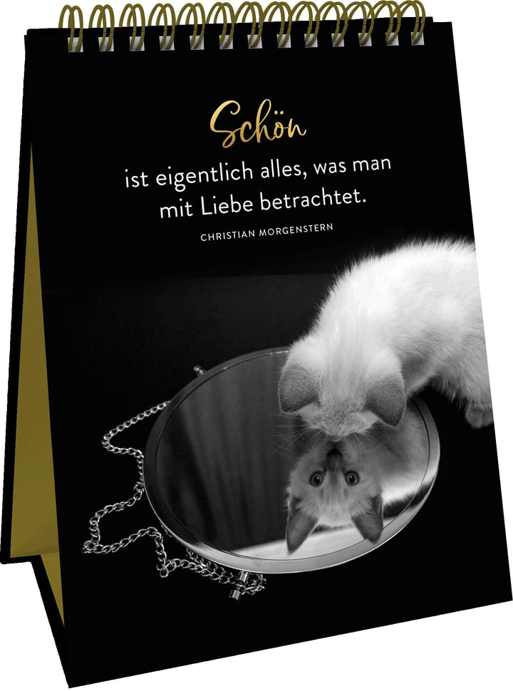 Goldene Katzenweisheiten | -