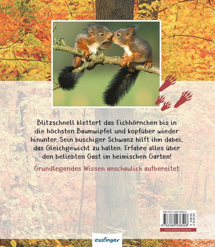 Meine große Tierbibliothek: Das Eichhörnchen | Ledu-Frattini, Stéphanie