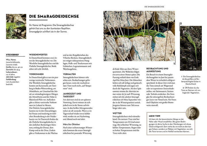 Tiere beobachten mit dem Wildtierguide | Hundorf (@patrickdogvillage), Patrick