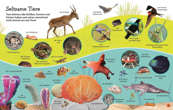 1000 erste Wörter. Tiere | Pottle, Jules