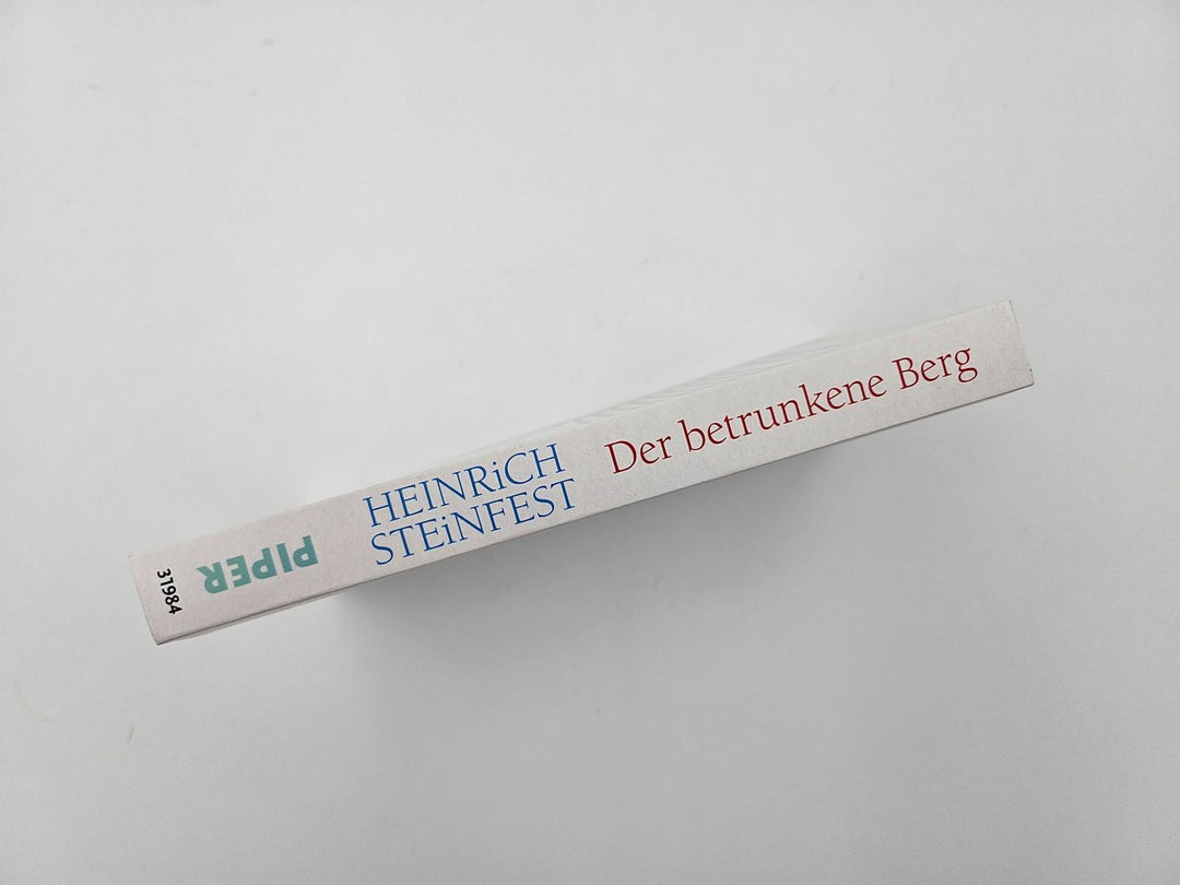 Der betrunkene Berg | Steinfest, Heinrich