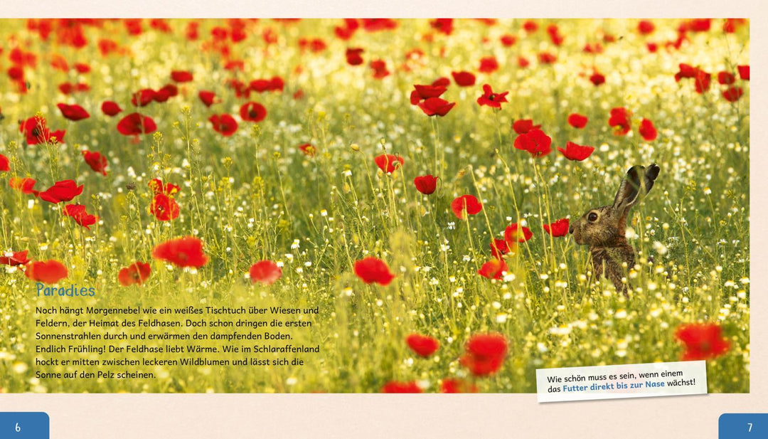 Meine große Tierbibliothek: Der Hase | Poschadel, Jens