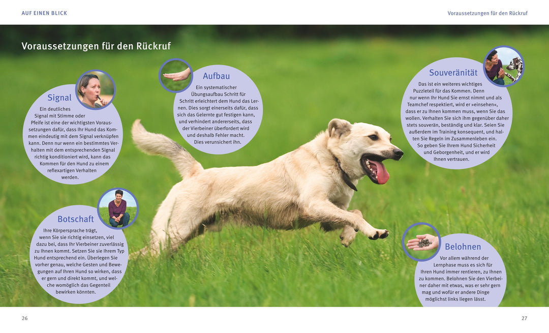 Rückruf-Training für Hunde | Schlegl-Kofler, Katharina