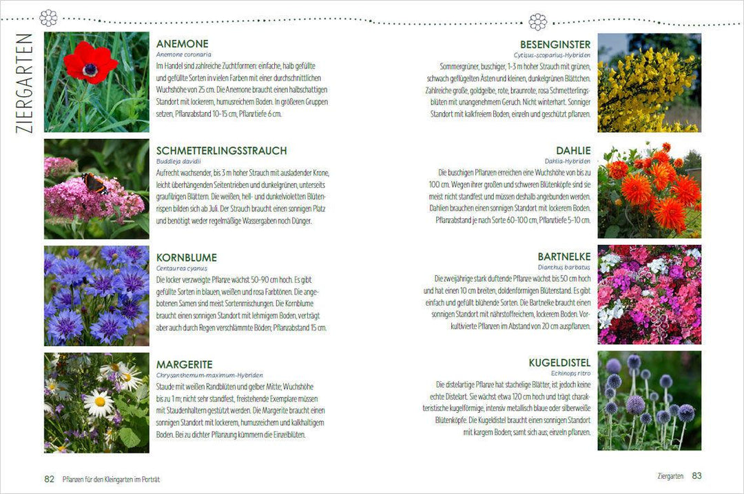 Mein Jahr im Kleingarten. Schrebergarten für Anfänger | Kopp, Ursula