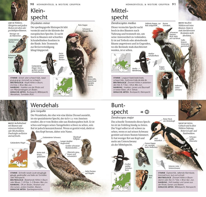 Vögel | Elphick, Jonathan | Woodward, John